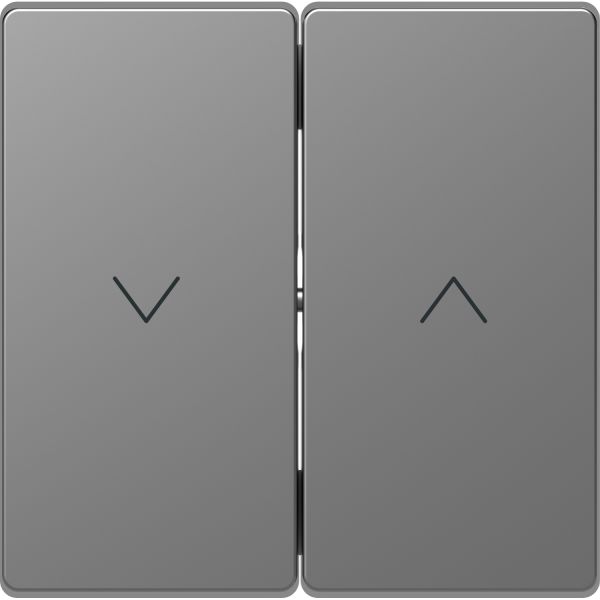Клавиша для жалюзи Merten D-Life MTN3855-6036 Нержавеющая сталь