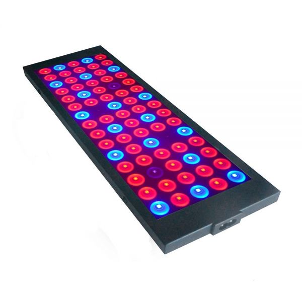 Фитосветильник Glauber Fito 10W