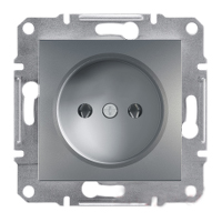 Розетка без заземления Сталь Asfora Plus Schneider Electric EPH3000162