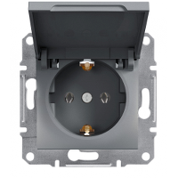 Розетка с заземлением, с крышкой Сталь Asfora Plus Schneider Electric EPH3100162