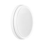 Світильник Led накладний Violux Fly 40W 5000K 220V IP20 коло білий