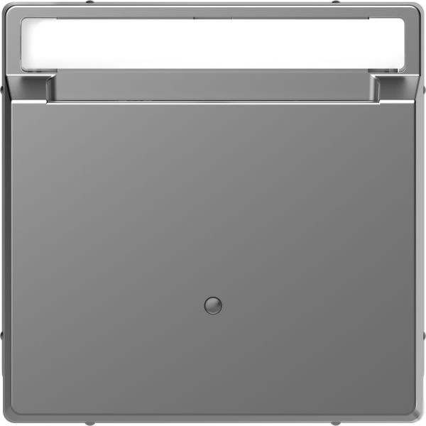 Выключатель с ключ-картой для гостиниц Merten D-Life MTN3854-6036 Нержавеющая сталь