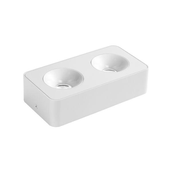 Світильник накладний точковий Violux Sidney-2L 20W 4000K 220V IP20 прямокутник білий