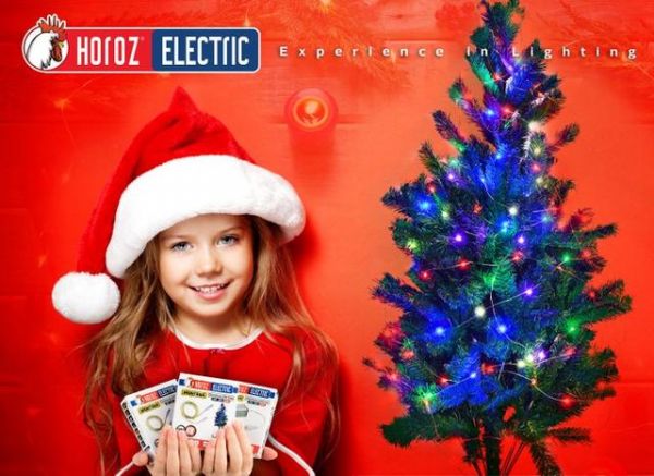 Драйвер гірлянди вуличної світлодіодної Horoz Electric Montana-D4 до 4 гірлянд