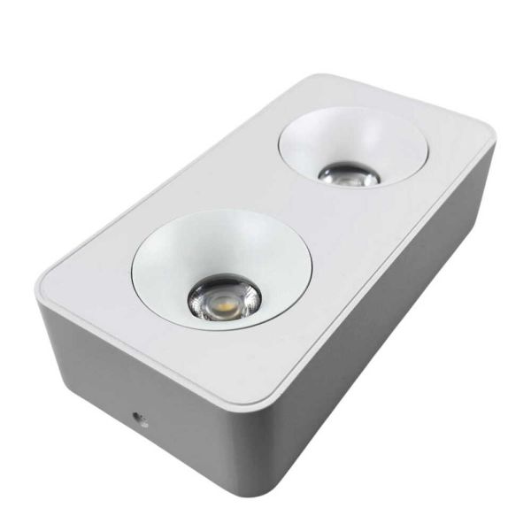 Світильник накладний точковий Violux Sidney-2L 20W 4000K 220V IP20 прямокутник білий