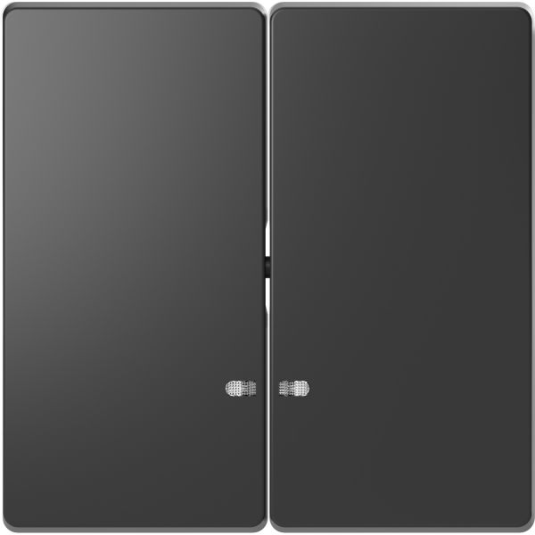 Клавиша 2-я с линзой для LED модуля Merten D-Life MTN3420-6034 Антрацит