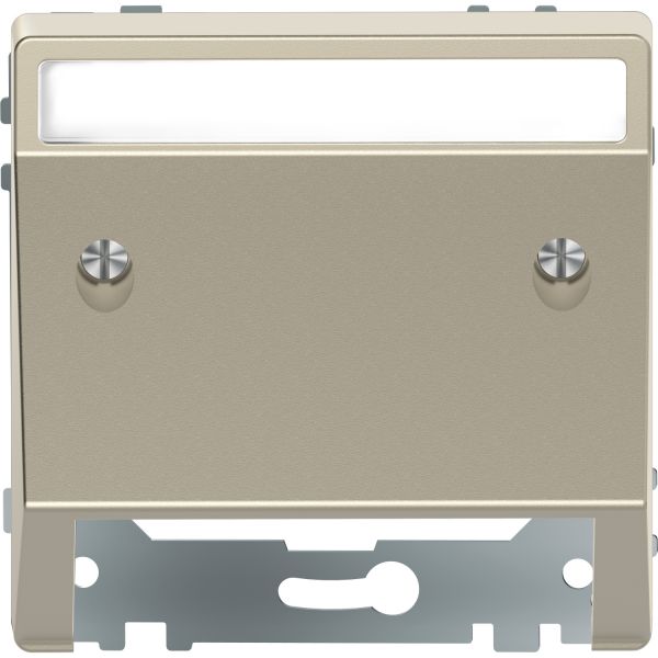 Центральная панель с наклоном Merten D-Life MTN4540-6033 Сахара