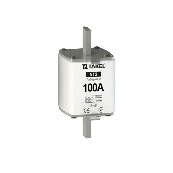 Плавкая вставка предохранителя NT2 100А