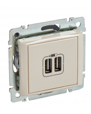 Розетка подвійна 2хusb слонова кістка Valena Legrand 774170