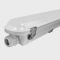Светильник линейный Led Rayfor WL05 1500мм 60W 9600Lm 3CCT IP66 Philips 5р транзитный