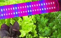Фітосвітильник для рослин 1200мм 32Вт червоний: синій 4: 2 ФІТО світло