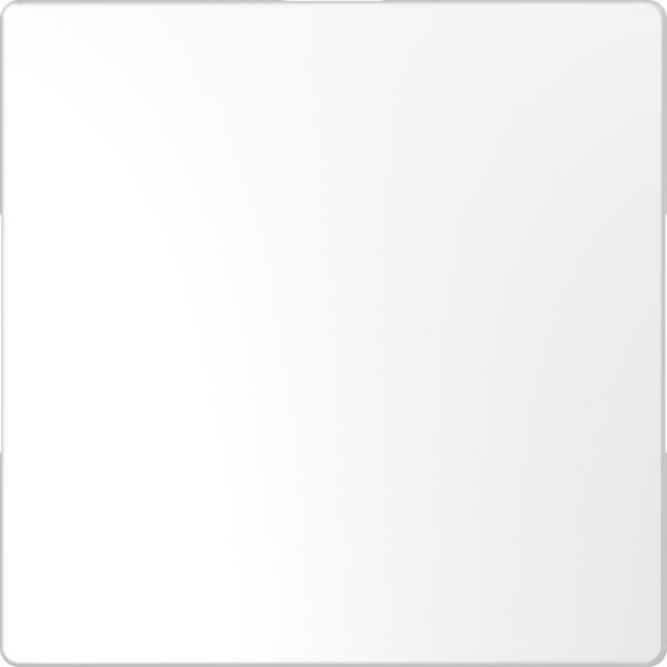 Заглушка Merten D-Life MTN4075-6035 Белый лотос
