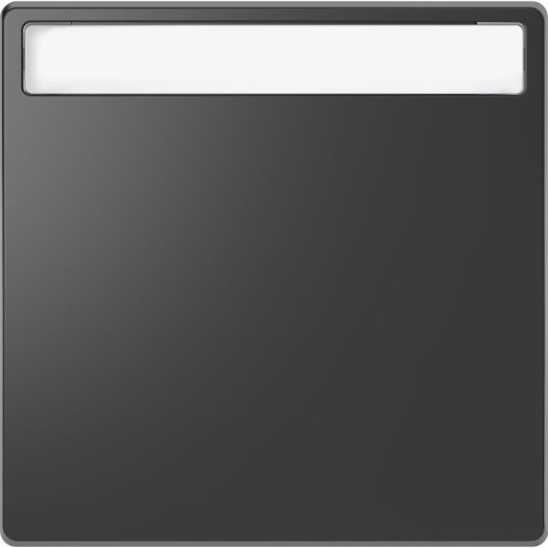 Клавиша 1-ная с полем для надписи Merten D-Life MTN3360-6034 Антрацит