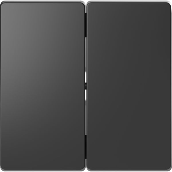 Клавиша 2-ная Merten D-Life MTN3400-6034 Антрацит