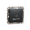 USB розетка тип A+C 2,4A Чорний Sedna Design Schneider Electric SDD114402