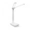 LED лампа настольная с аккумулятором TITANUM TLTF-010W 7W 2700-6000K