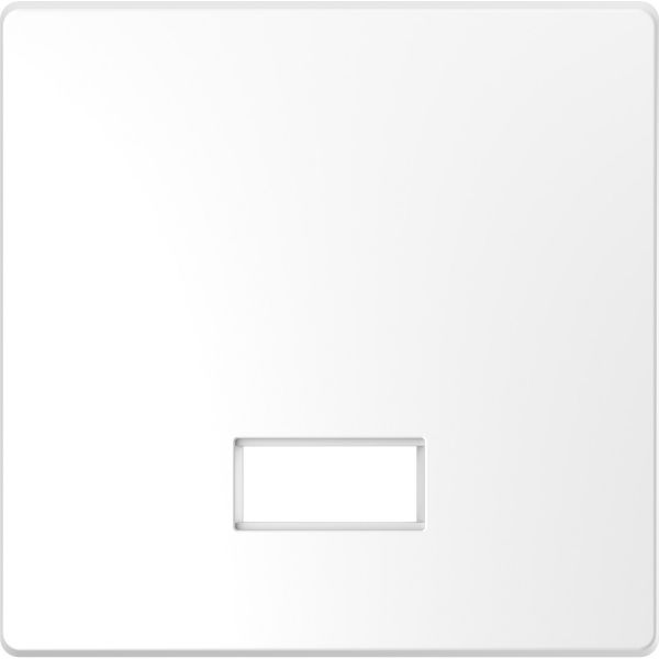 Клавиша 1-я с полем для символа Merten D-Life MTN3350-6035 Белый лотос