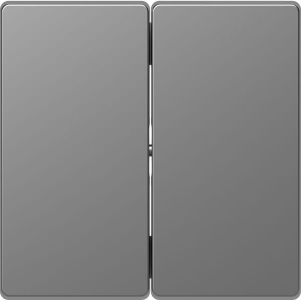 Клавиша 2-ная Merten D-Life MTN3400-6036 Нержавеющая сталь