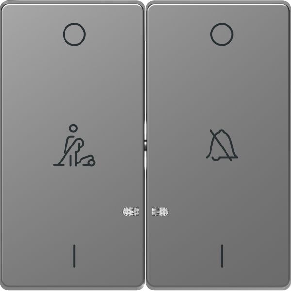 Клавиша 2-я с линзой LED символ: звонок, горничная Merten D-Life MTN3429-6036 Нержавеющая сталь