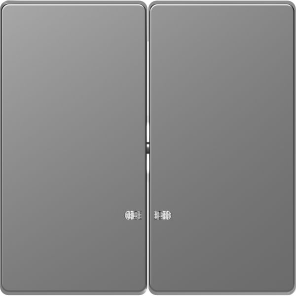 Клавиша 2-я с линзой для LED модуля Merten D-Life MTN3420-6036 Нержавеющая сталь