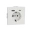 Розетка с заземлением USB A+C 3A Merten D-Life MTN2367-6035 Белый лотос