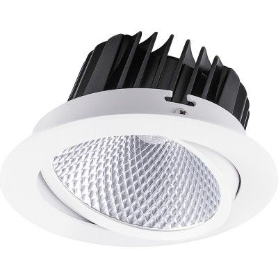 Встроенный светодиодный светильник поворотный 10W 4000K Professional Feron AL252