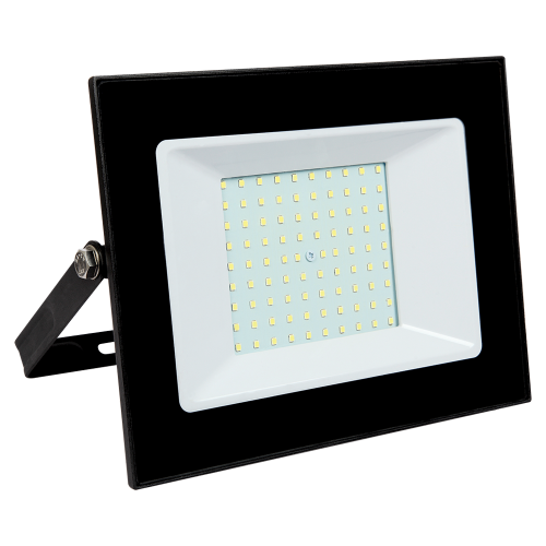 Светодиодный прожектор Feron LL-8100 100W 6400K IP65