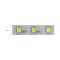 Светодиодная лента NIL синяя 12V DC