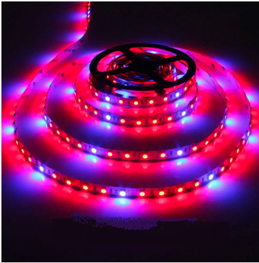 Фитолента LED SMD5050 60 IP68 красный: синий 4: 1
